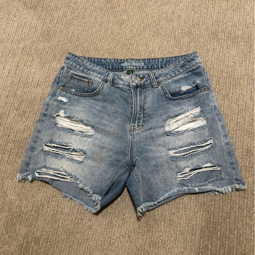 Wild Fable distressed shorts